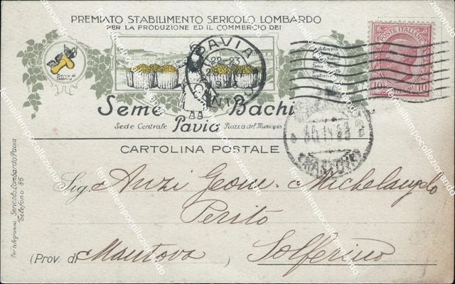 bt9 cartolina pavia citta' commerciale seme bachi lombardia