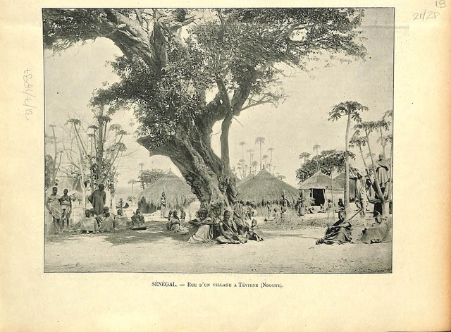 Afrique rue d'un village à Téviyne Ndoute peuple Ndut au Sénégal GRAVURE 1897