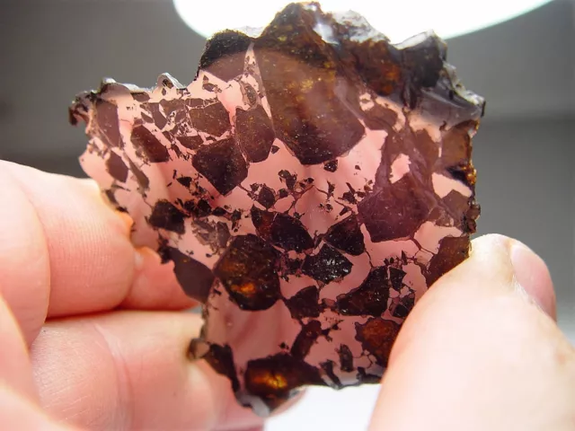 Fantastic Full Slice! ! Rare Plessitic Pallasite! Nwa 10023 Meteorite 23.7 Gms 3