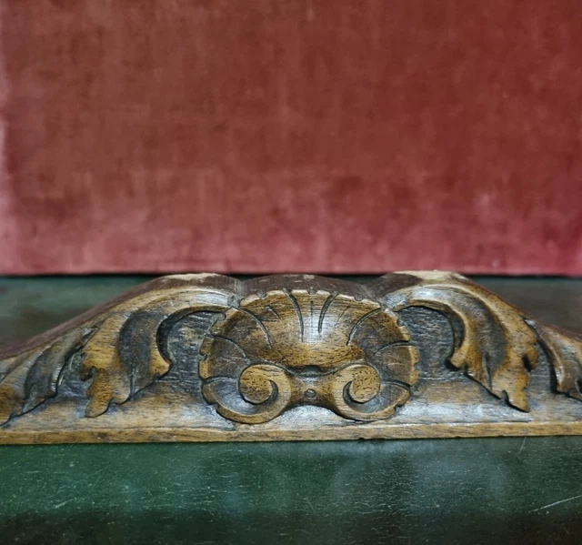 Pediment Scroll leaf Shell Wood carving Antique French architectural salvage 11"