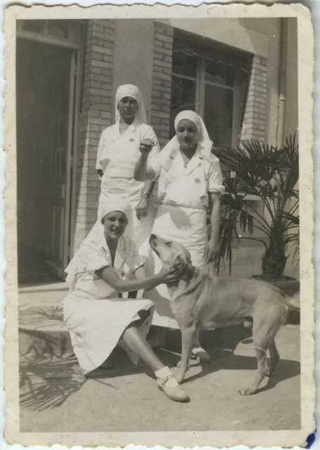 Photo Ancienne - Vintage Snapshot - Chien Infirmière Drôle - Dog Nurse Funny