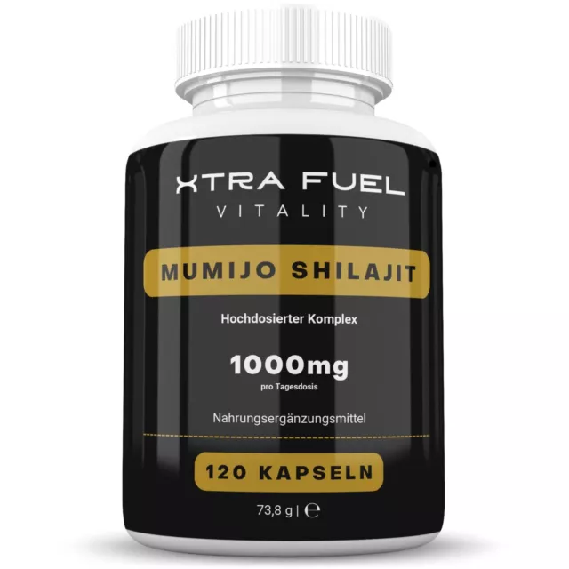 Mumijo Shilajit | 120 Kapseln (hochdosiert) | 1000mg | Fulvin- und Huminsäuren