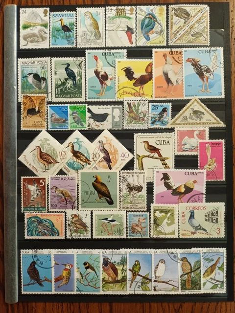 Lot de 45 Timbres Thématique "Oiseaux" (THE 177)