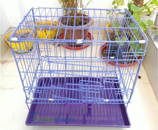 Cage pour chats violet 24 pouces cage/caisse/chenil avec plateau amovible