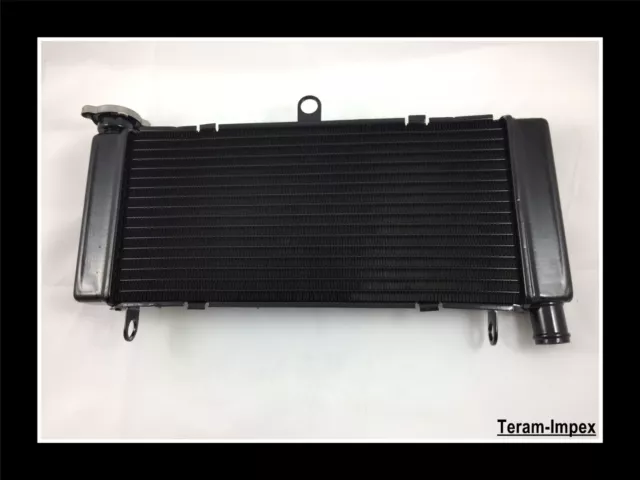 Radiateur pour Honda CBF 600 Hornet de 1998 1999 2000 2001 2002 2003 à 2006 NEUF