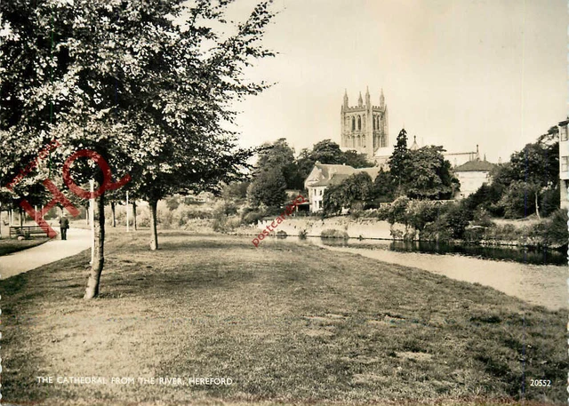 Picture Postcard; Hereford, the Cathedral from the River [Salmon]