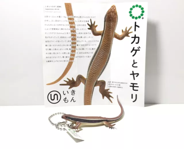 Kitan Club Nature Techni Color Japanese Skink Lizard Keychain Figure B