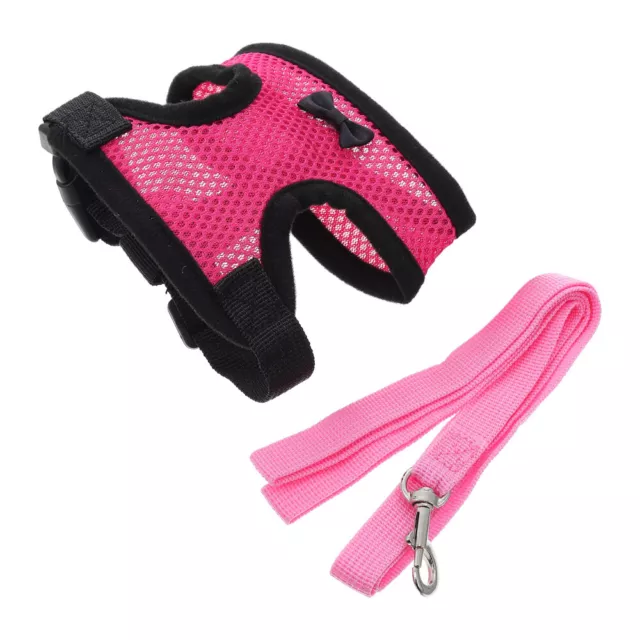 Colorful Chicken Harness and Leash Set - Great for Outdoor Playtime