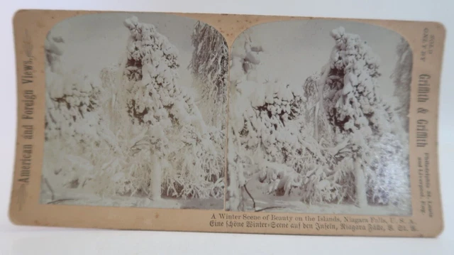 Winter Scene Islands Niagra Falls Griffith Stereoscope Stereoview Card Photo