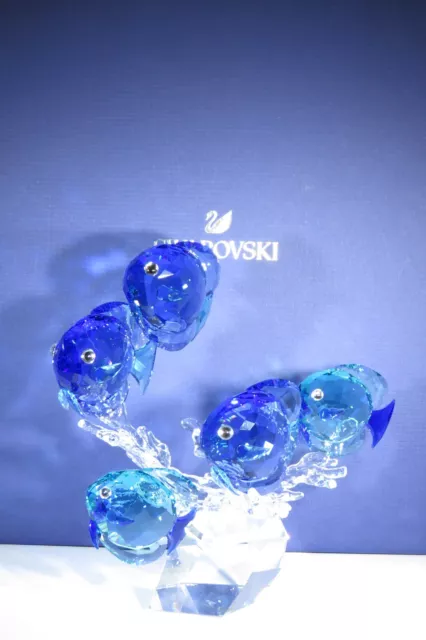 Swarovski Figurine - Blue Fish Family Mib, Coa 2