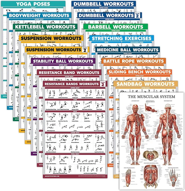 17 Pack Exercise Poster Set Dumbbell Suspension Kettlebell Muscular Medicine