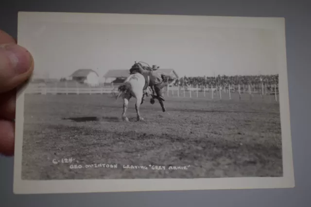 vintage  CALGARY STAMPEDE RODEO CALGARY ALBERTA POSTCARD rppc bronc c124 riding