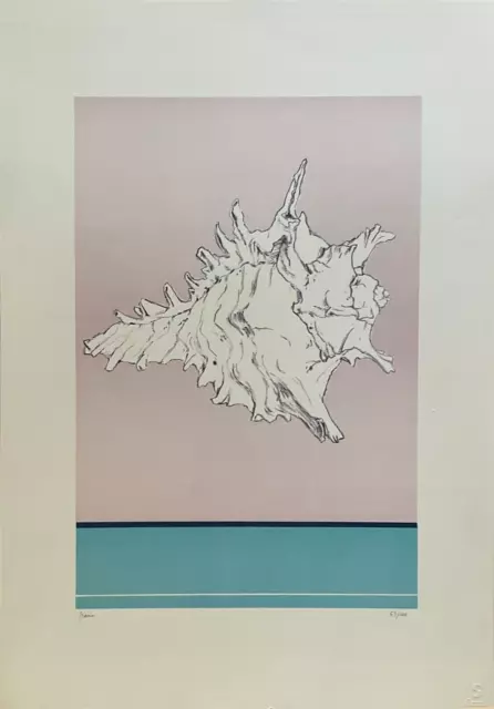 Biasion Renzo (Treviso, 1914 – Florencia, 1996) Litografía Opera Firma