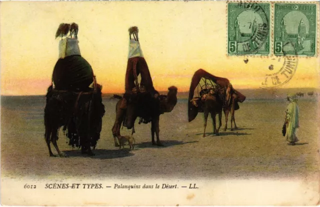 CPA AK Scenes et Types - Palanquins dans le Desert ALGERIE (1189684)