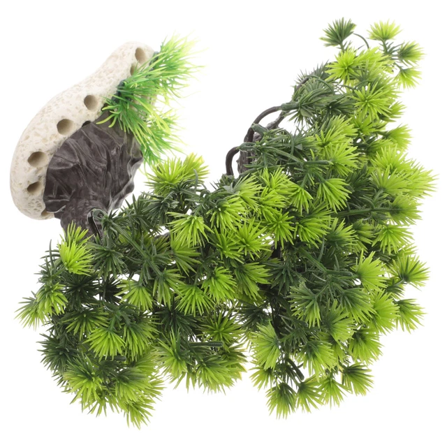10 Pezzi Clip Supporto per Acquari Supporto per Serbatoio per Pesce