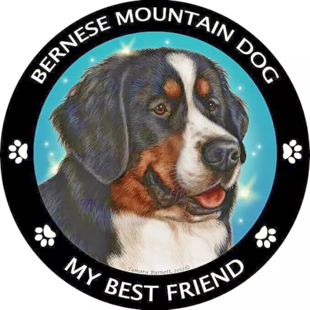 Limited BERNESE MOUNTAIN  PET DOG ANIMAL Pendant 925 Sterling Silver 20" Chain