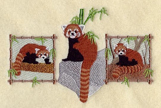 Embroidered Ladies T-Shirt - Red Panda Trio A4488 Sizes S - XXL