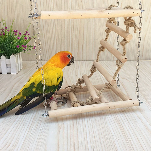 Accesorios para jaula de loro