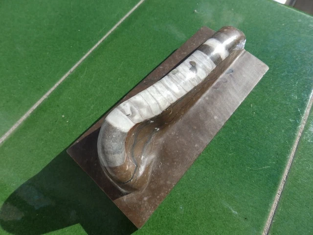 Fosiles Moluscos " Extraordinario Nautiloideo Lituites De China  -  2A23 "
