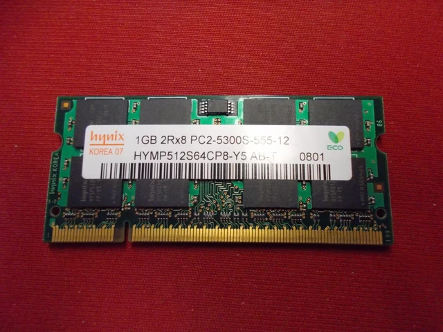 Lot 2 Barrettes Mémoire DDR2 4Go (8Go Total) PC2-5300 667MHz SO-DIMM Pour Portable