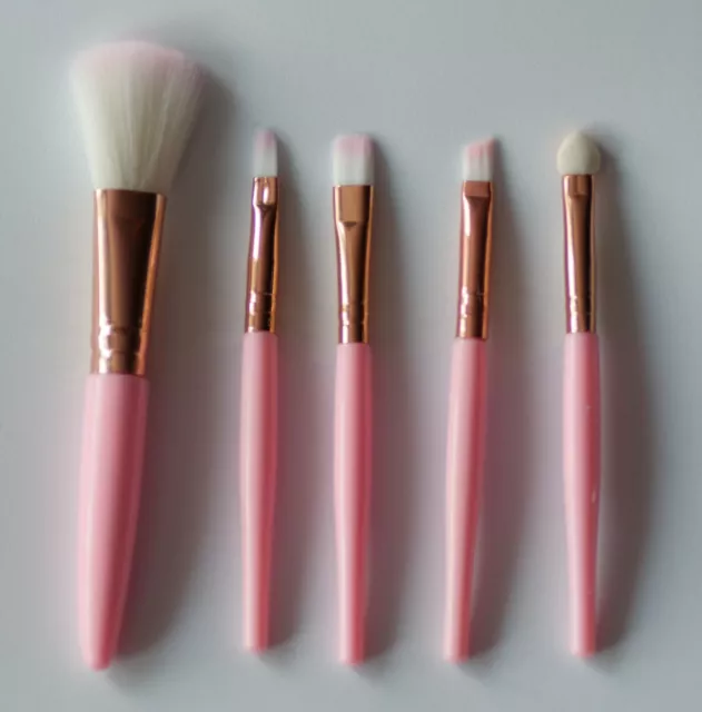 Lot 5 Pinceaux Maquillage de Poche Rose (voir description pour les dimensions)