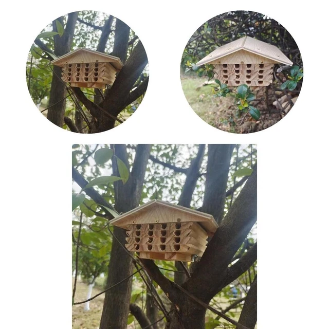 Colmena al aire libre, madera, hábitat, jardín, patio, colmena, habitación,