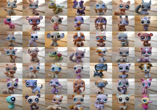 LPS Littlest petshop pet shop chien chat européen dogue colley cat dog rare