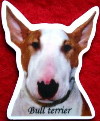 BULLS Bull Terrier Magnet Aimant Chien avec Ardoise Magnétique Frigo Marqueur B3 