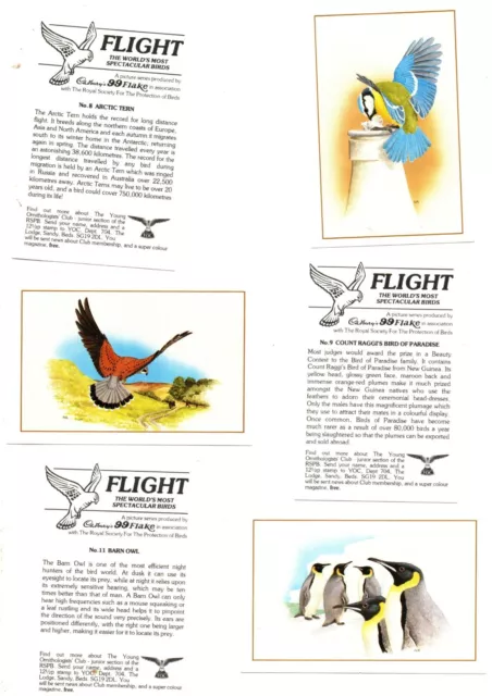 Flight The Worlds Most Spectacular Birds Full Set 12 Cards Cadburys Issue 1983