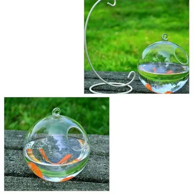 Black  Hanging Fish Bowl Tank With Stand Fish Small Table Glass Fish Bowl Vase 3