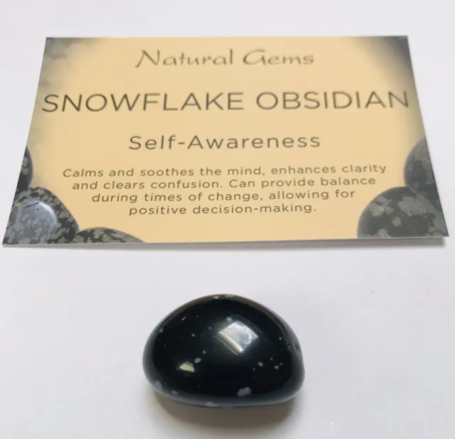 Snowflake Obsidian Tumblestone with free organza bag and crystal card