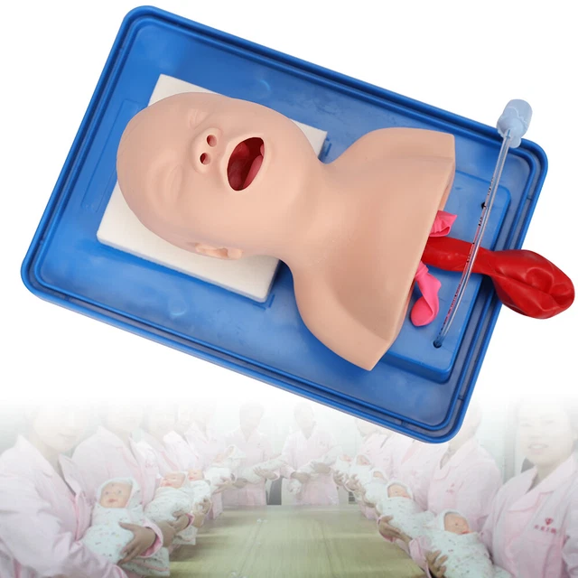 Lab Airway Intubation Model Manikin Study Teaching Trainer Aid Simulators Tool