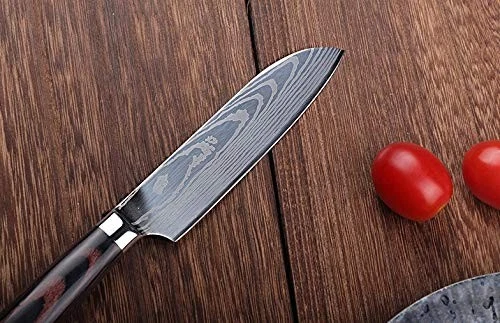 Lot De 16 Petits Couteaux De Cuisine - Marques Victorinox, Boch Et Autres - Manches Plastique/bois - Occasion