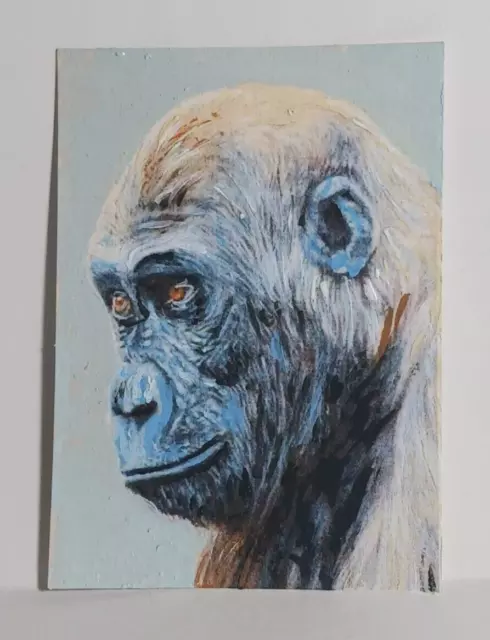Gorilla Thinking ACEO Original Animal PAINTING by Leslie Popp