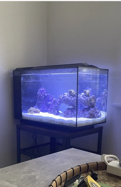 Fluval 10531 Sea EVO Marine Aquarium Tank Kit 3
