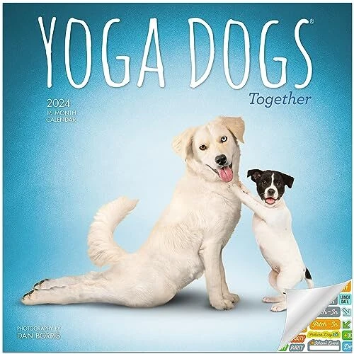 YOGA DOGS TOGETHER Calendar 2024 Deluxe 2024 Yoga Dogs Wall Calendar