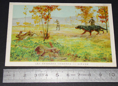 AB13 image d'école bon point CHROMO LES GRANDES CHASSES ANTILOPE 