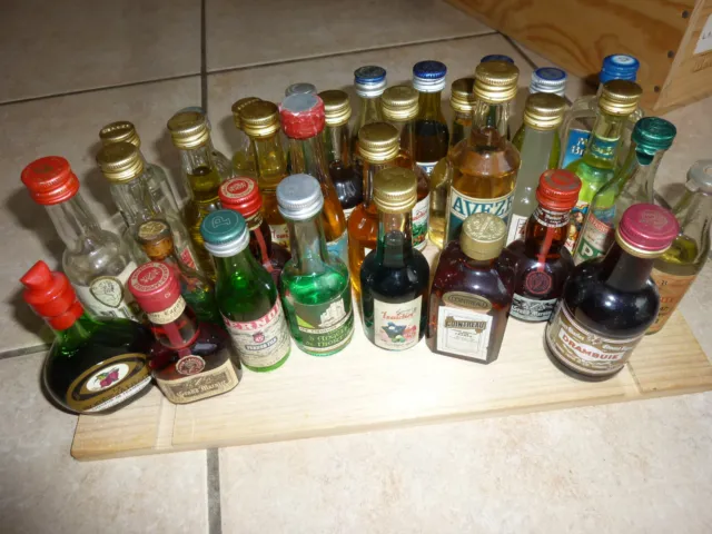 Lot 36 Mignonettes Alcool Mini Bouteilles Malibu Ouzo Chivas Pastis Sambuca