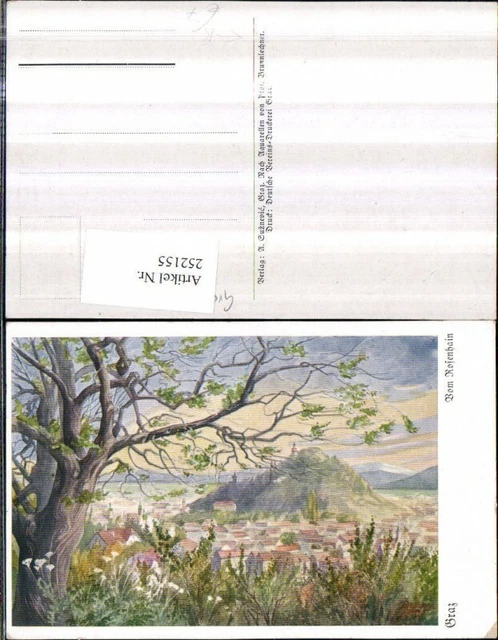 252155,Künstler AK Brunnlechner Graz Teilansicht vom Rosenhain