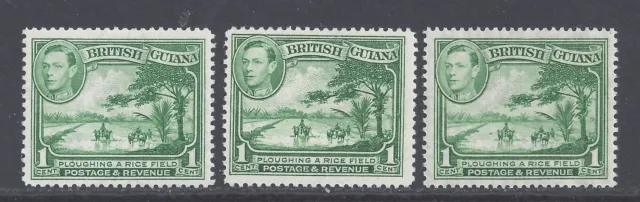BRITISH GUIANA GVI 1c YELLOW-GREEN, GREEN,  GREEN PERF 14x13 MINT  SG 308, a, b
