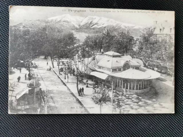 CPA 66 PERPIGNAN - Vue Panoramique sur le Palmarium et le Canigou