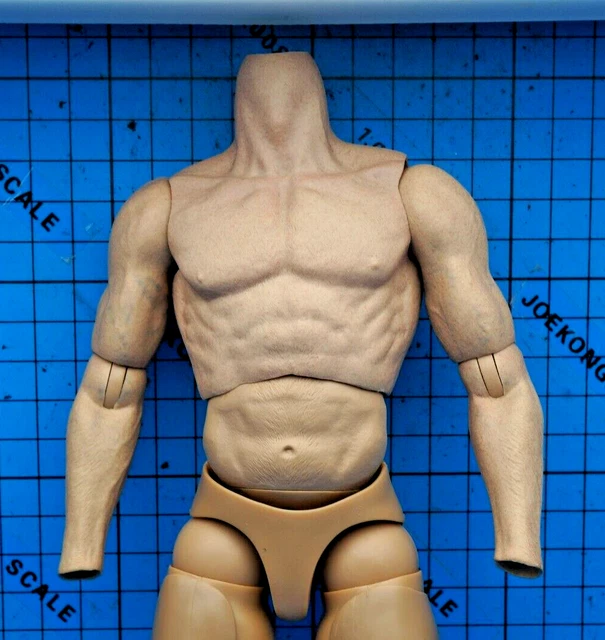 Hot Toys 1/6 TMS004 Marvel's Daredevil Punisher Figure - Muscular Body With Vein