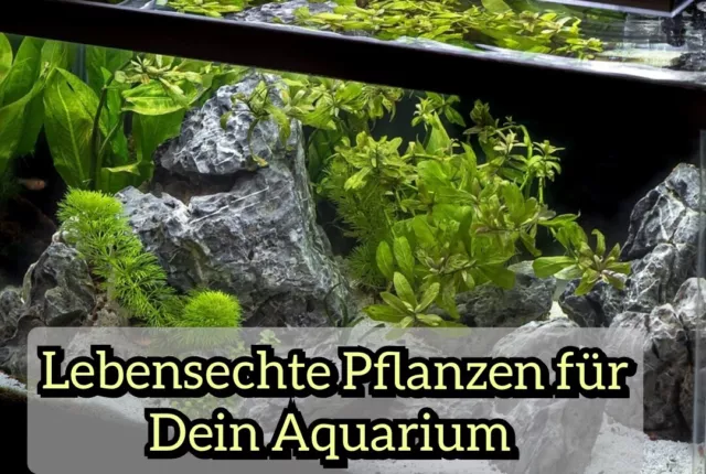 ✅ Künstliche Aquarium Wasserpflanzen Kunststoff Aquarien Pflanzen Pflanze Fische