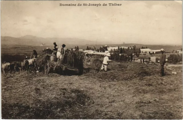 CPA AK TUNISIA Domaine de St-Joseph de THIBAR (32694)