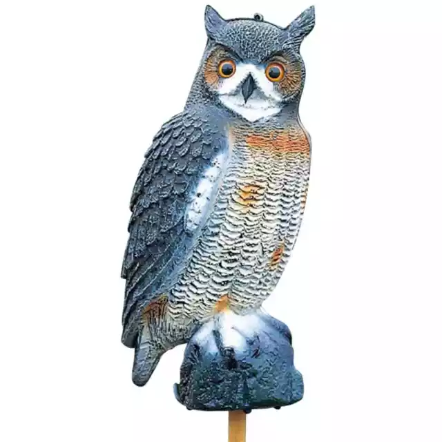 Ubbink Animal Figure Large Owl 1382530 Home Garden Decor Figurine Repel Bird vid