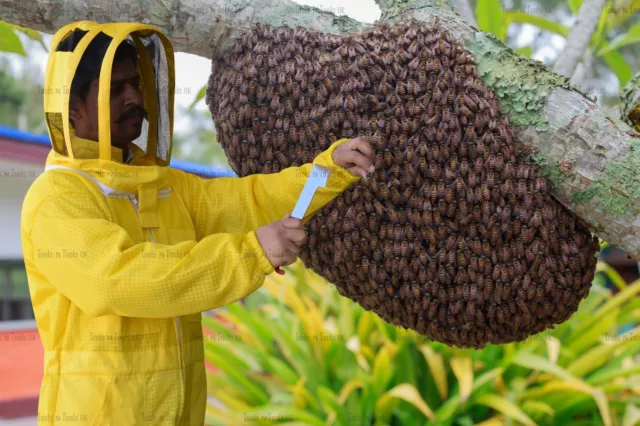 Combinaison Maille Jaune Trois Couches Ultra Apicole Pour Abeilles Air Frais Ventilé Large