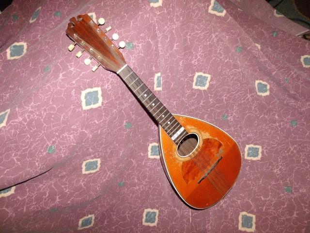 Antique ca 1900 Harwood JW Jenkins Model 45 bowl-back Mandolin VG All Orig w/hc