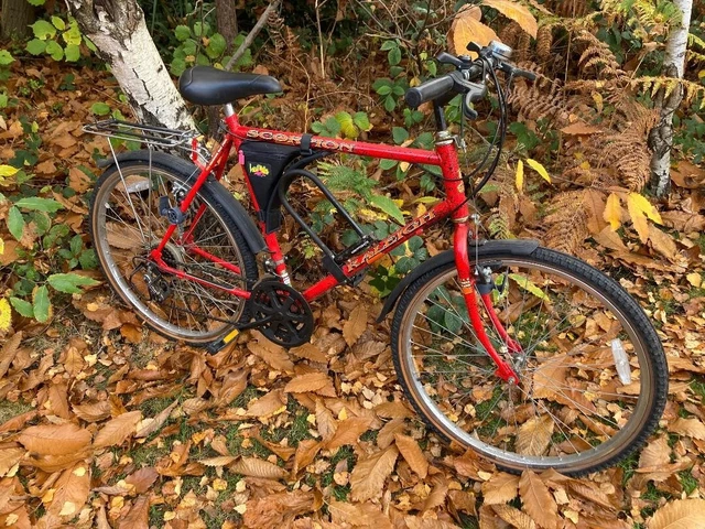 Raleigh scorpion mountain bike on sale