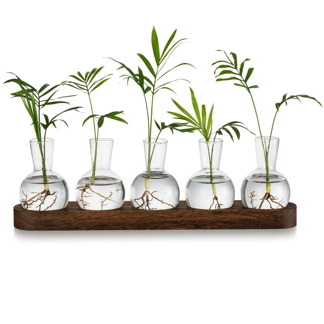 2 Mini Stazioni Magnetiche Per Propagazione Piante In Vetro – Vasetti Da Frigo Con Magnete, Set Da 2 Pezzi - 2