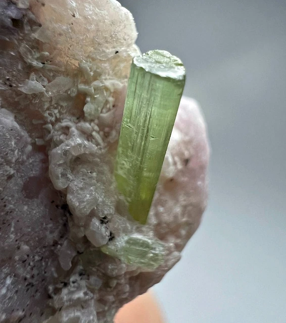 67 CT Full Terminated Transparent Tourmaline Crystal on Matrix w/ Lepidolite @AF